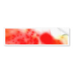 Atmospheres Bumper Stickers