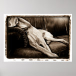 Atomic Cerebellum : Taking Over The Couch posters