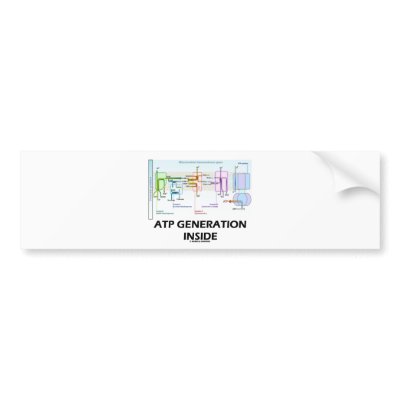 ATP Generation Inside (Electron Transport Chain) by wordsunwords