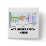 ATP Generation Inside (Electron Transport Chain) Buttons