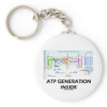 ATP Generation Inside (Electron Transport Chain)