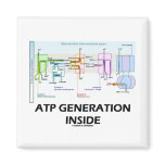 ATP Generation Inside (Electron Transport Chain) magnets