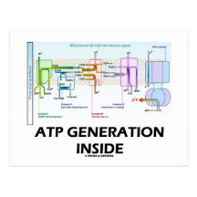 ATP Generation Inside (Electron Transport Chain) Postcard