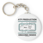 ATP Production Ongoing Inside Keychain