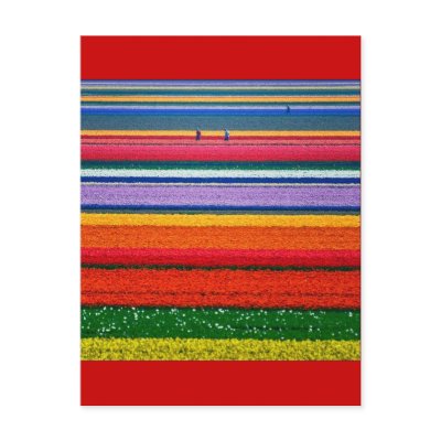 ATT000012 by CreativeColours