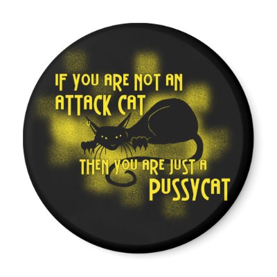 Attack Cat Magnet by Jaenne