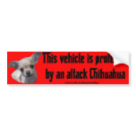 Attack Chihuahua