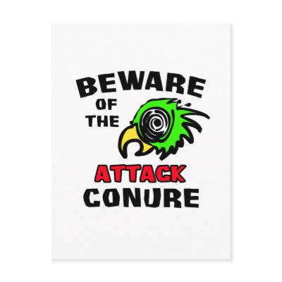 Attack Conure Postcards by BirdsOfParadise