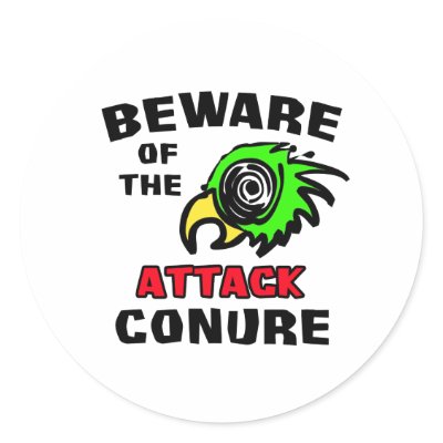 Attack Conure Round Sticker by BirdsOfParadise
