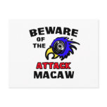 Attack Macaw Post Cards