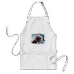 Attack on the foot aprons