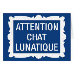 Attention Chat Lunatique