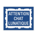 Attention Chat Lunatique