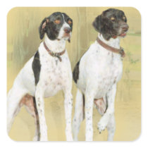 Attentive Englis Pointers Square Stickers