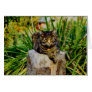 ATTITUDE CAT GREETING CARD