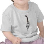 Attitude, Cat Shirts