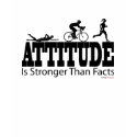 Attitude is Stronger than Facts t-shirts