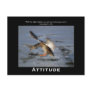Attitude Mallard Duck Motivational Postcards