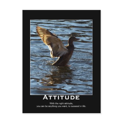 Attitude Mallard Duck Motivational Postcards by HANDPRINTS