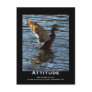 Attitude Mallard Duck Motivational Postcards