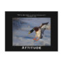 Attitude Mallard Duck Motivational Postcards