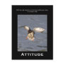 Attitude Mallard Duck Motivational Postcards