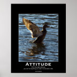 Attitude Mallard Duck Motivational Posters