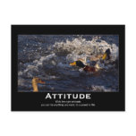 Attitude Mallard Ducks Motivational Postcards