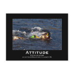 Attitude Mallard Ducks Motivational Postcards