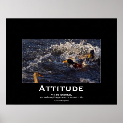 Attitude Mallard Ducks Motivational Posters by HANDPRINTS