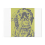 Attitude Puggle Face Post Card