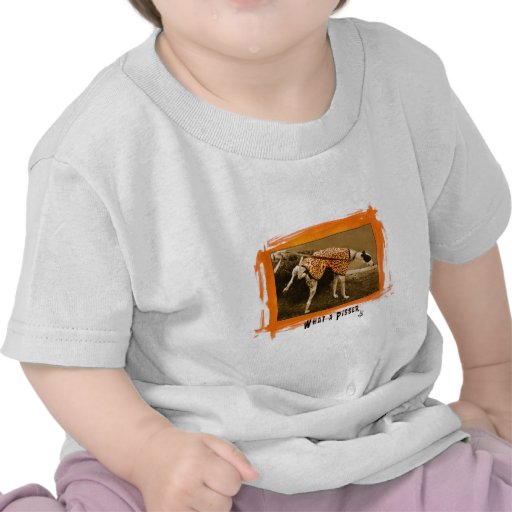 Attitudes Tees