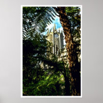 Auckland University Poster