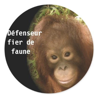 Aucunes affaires de singe autocollants ronds by Rebecca_Reeder