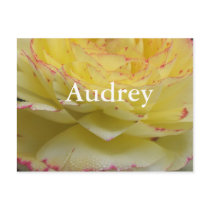 Audrey Post Cards