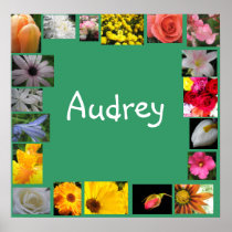 Audrey Posters