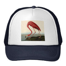 Audubon American Flamingo Mesh Hat