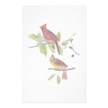 Audubon Cardinal Stationery