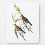 Audubon Dickcissel Mousepads