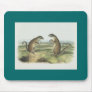 Audubon - Franklin's Marmot Squirrel Mouse Pads