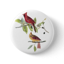 Audubon Northern Cardinal