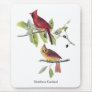 Audubon Northern Cardinal