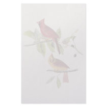 Audubon Northern Cardinal