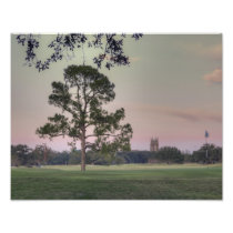 Audubon Park Sunset Photo