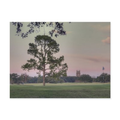 Audubon Park Sunset Post Cards by RayDevlin