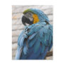 Audubon Zoo Post Card