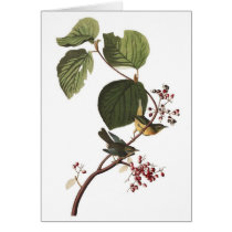 Audubon's Extra Warbler