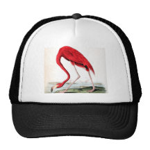 Audubon's Red Flamingo Hat