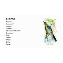 Audubon's Warbler Business Card