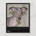 august 2012 calendar full colour flyer